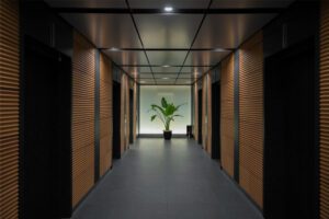 Luxury Hallway Walls, Luxury Accent Wall, Acoustic Wall Panel, PVC Panels, Illuminated Wall Panels, Modern Wall Designs, Wood Panels