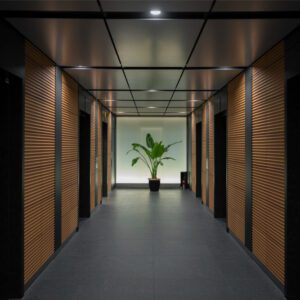 Luxury Hallway Walls, Luxury Accent Wall, Acoustic Wall Panel, PVC Panels, Illuminated Wall Panels, Modern Wall Designs, Wood Panels