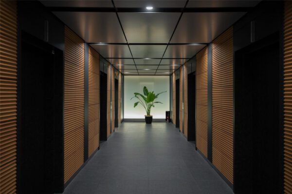 Luxury Hallway Walls, Luxury Accent Wall, Acoustic Wall Panel, PVC Panels, Illuminated Wall Panels, Modern Wall Designs, Wood Panels